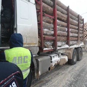 Правительство РФ утвердило форму электронного сопроводительного документа на транспортировку древесины
